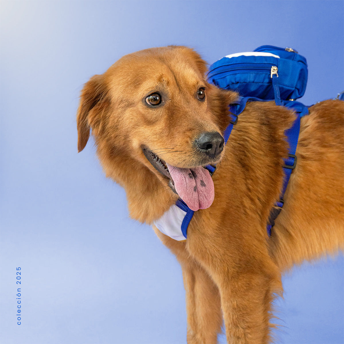 Mochila para perro Vegeta